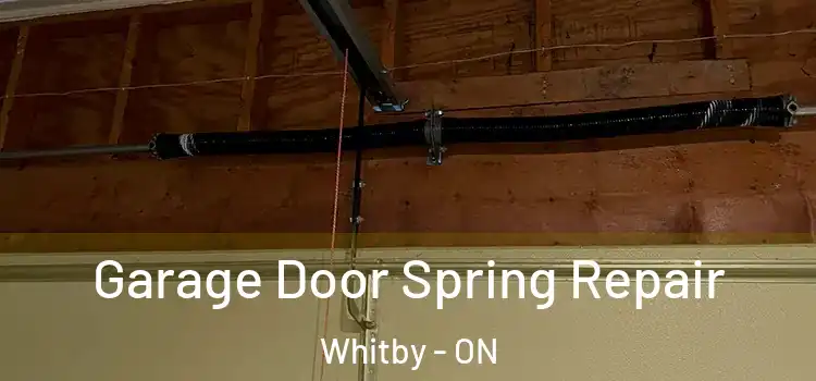  Garage Door Spring Repair Whitby - ON