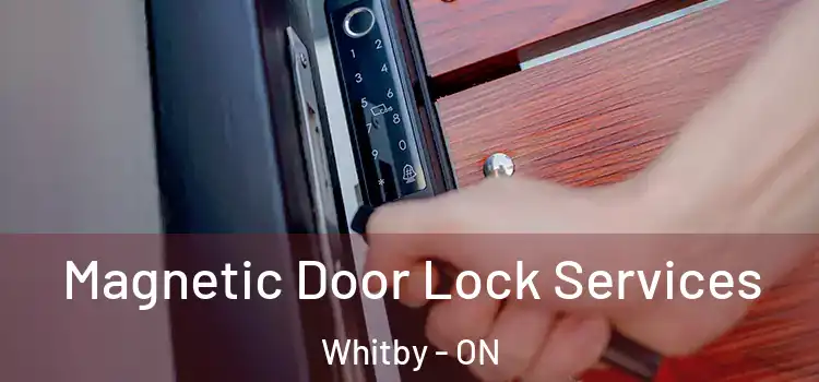  Magnetic Door Lock Services Whitby - ON