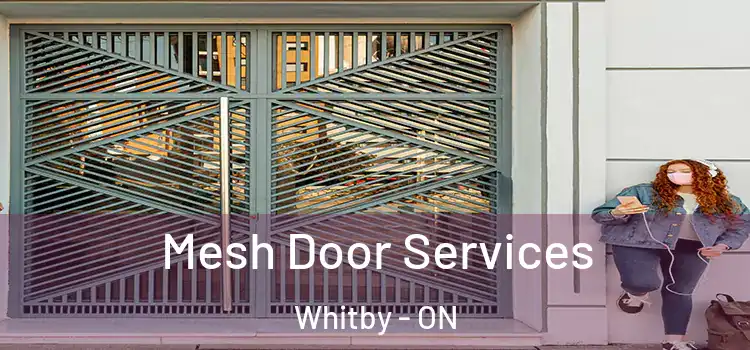 Mesh Door Services Whitby - ON